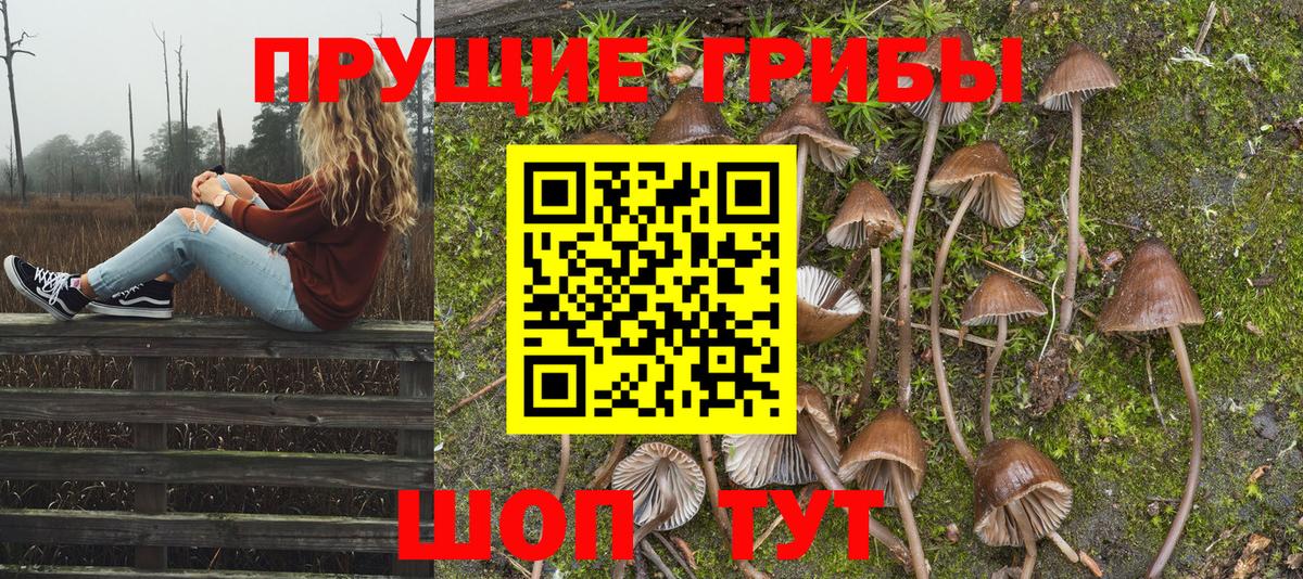 Гусиноозёрск  где найти наркотики  Вход с VPN  Псилоцибиновые грибы MAGIC MUSHROOMS  Псилоцибиновые грибы MAGIC MUSHROOMS 