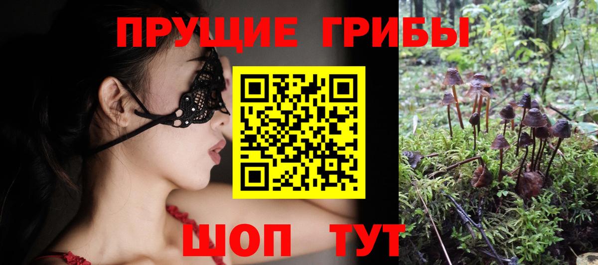 Галлюциногенные грибы Magic Shrooms Гусиноозёрск